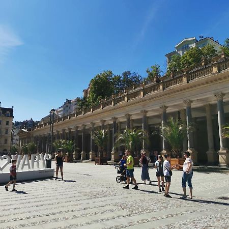 Ubytovani Ester - Utulny Byt V Lazenskem Centru Karlovych Varu Se Zahradkou Karlovy Vary Exterior foto