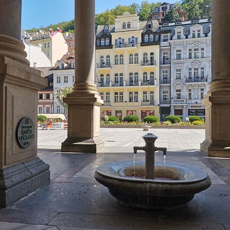 Ubytovani Ester - Utulny Byt V Lazenskem Centru Karlovych Varu Se Zahradkou Karlovy Vary Exterior foto