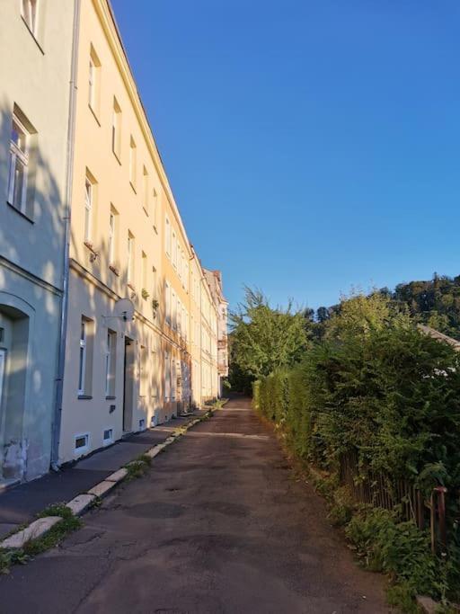 Ubytovani Ester - Utulny Byt V Lazenskem Centru Karlovych Varu Se Zahradkou Karlovy Vary Exterior foto
