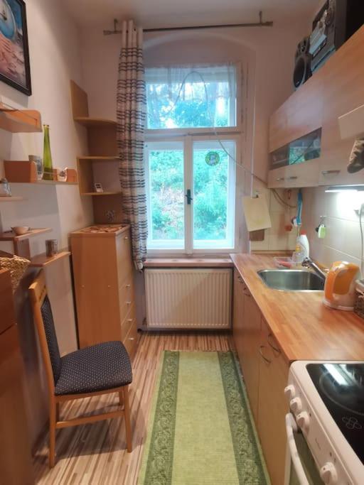 Ubytovani Ester - Utulny Byt V Lazenskem Centru Karlovych Varu Se Zahradkou Karlovy Vary Exterior foto