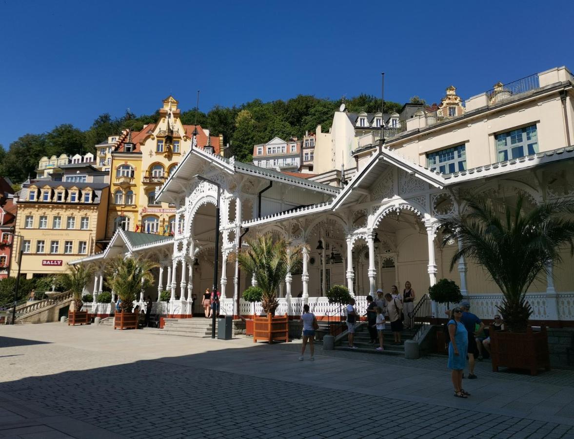 Ubytovani Ester - Utulny Byt V Lazenskem Centru Karlovych Varu Se Zahradkou Karlovy Vary Exterior foto