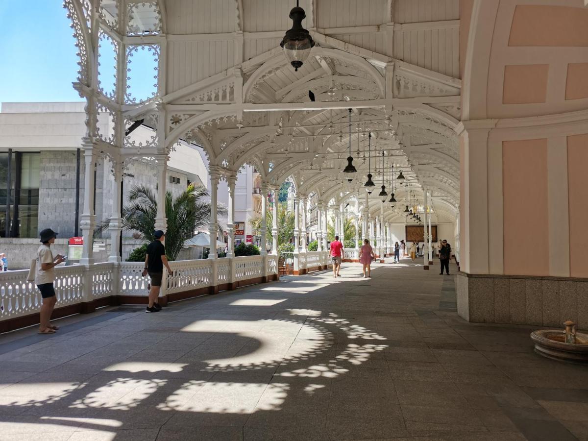 Ubytovani Ester - Utulny Byt V Lazenskem Centru Karlovych Varu Se Zahradkou Karlovy Vary Exterior foto