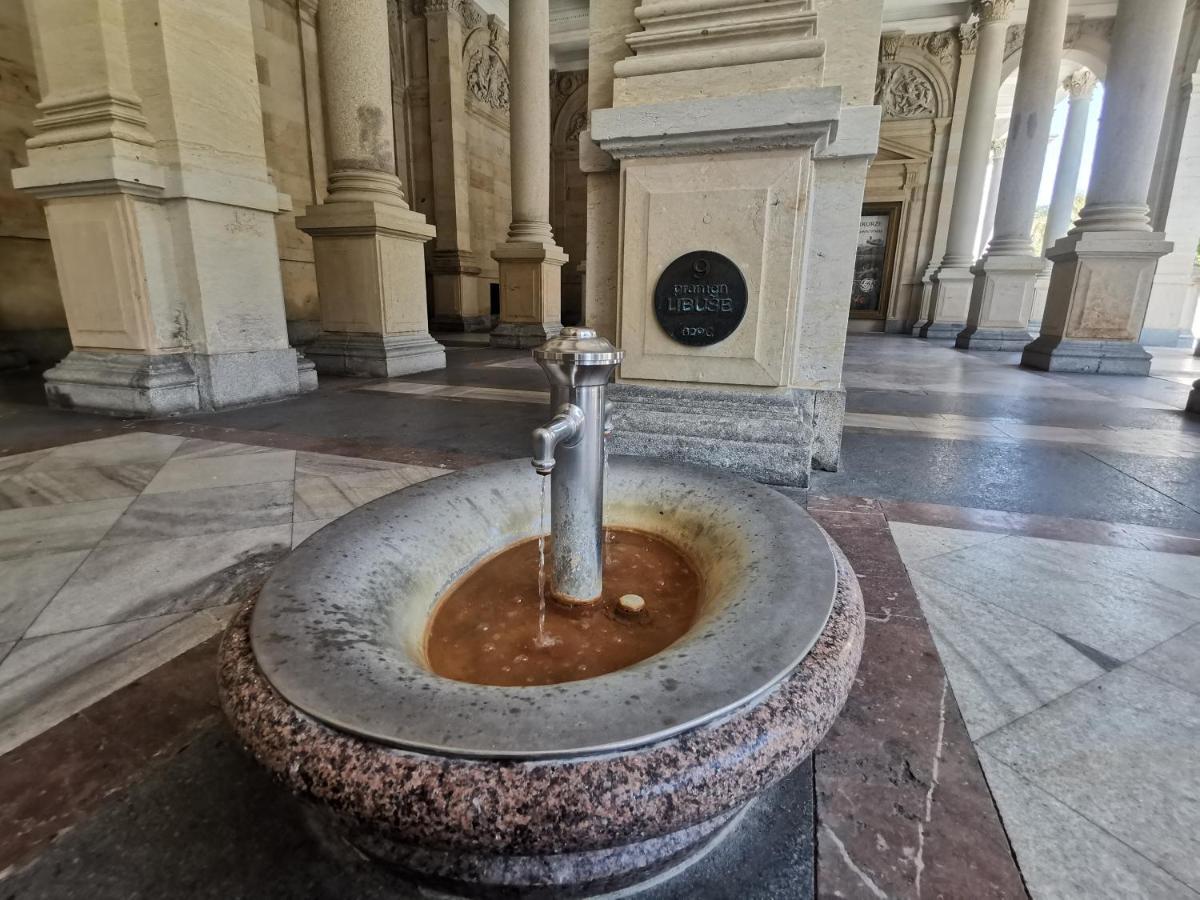 Ubytovani Ester - Utulny Byt V Lazenskem Centru Karlovych Varu Se Zahradkou Karlovy Vary Exterior foto